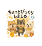 ふわふわ柴犬のまごころ便（個別スタンプ：26）