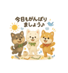 ふわふわ柴犬のまごころ便（個別スタンプ：31）