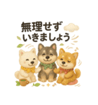 ふわふわ柴犬のまごころ便（個別スタンプ：33）