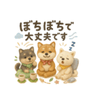 ふわふわ柴犬のまごころ便（個別スタンプ：34）