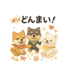 ふわふわ柴犬のまごころ便（個別スタンプ：37）