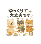 ふわふわ柴犬のまごころ便（個別スタンプ：38）