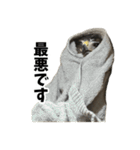 ハリスホークのういろうくん（個別スタンプ：4）