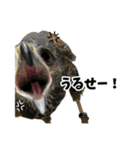ハリスホークのういろうくん（個別スタンプ：17）