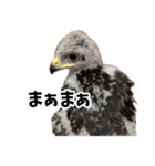 ハリスホークのういろうくん（個別スタンプ：29）