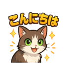 ブンタの毎日スタンプ（個別スタンプ：1）
