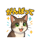 ブンタの毎日スタンプ（個別スタンプ：20）