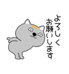 【毎日使える】ネコ三兄弟二郎31（個別スタンプ：8）