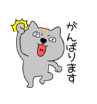 【毎日使える】ネコ三兄弟二郎31（個別スタンプ：15）