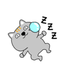 【毎日使える】ネコ三兄弟二郎31（個別スタンプ：37）