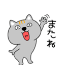 【毎日使える】ネコ三兄弟二郎31（個別スタンプ：38）