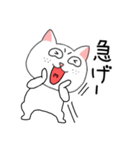 【毎日使える】関西弁ブサイクにゃんこ34（個別スタンプ：16）