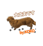 ハッピーここちゃん（個別スタンプ：9）