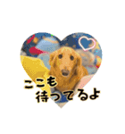 ハッピーここちゃん（個別スタンプ：18）