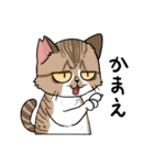 毎日使える猫様スタンプ（個別スタンプ：2）
