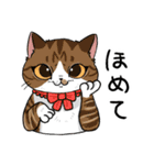 毎日使える猫様スタンプ（個別スタンプ：3）