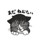 毎日使える猫様スタンプ（個別スタンプ：4）