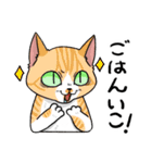 毎日使える猫様スタンプ（個別スタンプ：6）