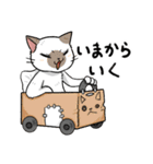 毎日使える猫様スタンプ（個別スタンプ：7）