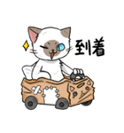 毎日使える猫様スタンプ（個別スタンプ：8）