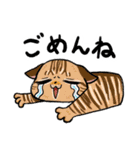 毎日使える猫様スタンプ（個別スタンプ：15）
