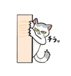 毎日使える猫様スタンプ（個別スタンプ：19）