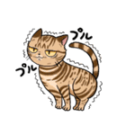 毎日使える猫様スタンプ（個別スタンプ：24）