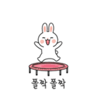 ウサギの日常スタンプ 06(KR)（個別スタンプ：6）