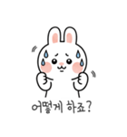 ウサギの日常スタンプ 06(KR)（個別スタンプ：24）