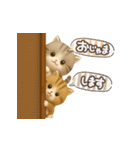 ねこちぃず♡毎日使える！挨拶とあいづち（個別スタンプ：12）