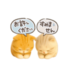 ねこちぃず♡毎日使える！挨拶とあいづち（個別スタンプ：26）