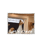 毎日使う Use every day（個別スタンプ：14）