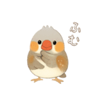 キンカチョウのスタンプ！（個別スタンプ：8）