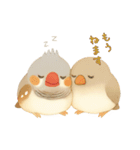 キンカチョウのスタンプ！（個別スタンプ：11）