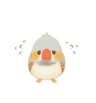 キンカチョウのスタンプ！（個別スタンプ：14）