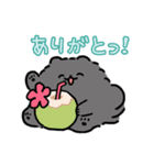 ハワイ大好きポメトーン（個別スタンプ：6）