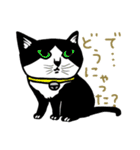 ニャンコまにあ（個別スタンプ：1）