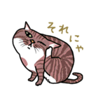 ニャンコまにあ（個別スタンプ：3）