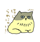 ニャンコまにあ（個別スタンプ：13）