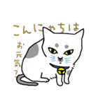 ニャンコまにあ（個別スタンプ：14）