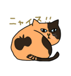 ニャンコまにあ（個別スタンプ：16）