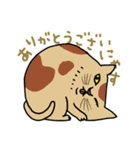 ニャンコまにあ（個別スタンプ：17）