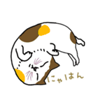 ニャンコまにあ（個別スタンプ：19）