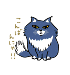 ニャンコまにあ（個別スタンプ：21）