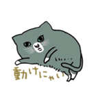 ニャンコまにあ（個別スタンプ：33）