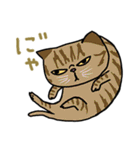 ニャンコまにあ（個別スタンプ：39）
