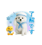 ▶動く癒しポメラニアンの「夏」の毎日（個別スタンプ：2）