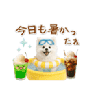 ▶動く癒しポメラニアンの「夏」の毎日（個別スタンプ：15）