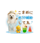 ▶動く癒しポメラニアンの「夏」の毎日（個別スタンプ：19）