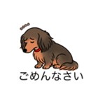 名前入りダックスシェーデッドレッド（個別スタンプ：2）